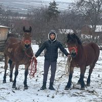 petronel_cosmin