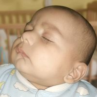 qasimshabbir083