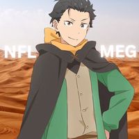 nflmeg