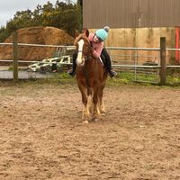 meandginger1