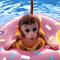 aisnugglemotion