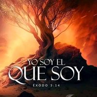 rocio.losada0