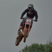 ullastres_61