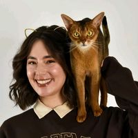 serenas_abycats