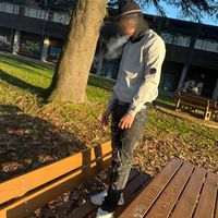 530.amir_