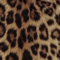 user189254026