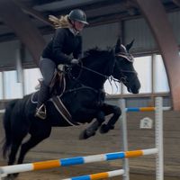 kajsa.and.dusty