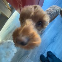 aimee_moore05