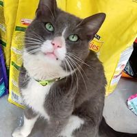 jardin_animaux