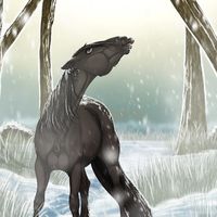 dakan.co