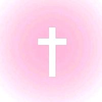 user8257566253147