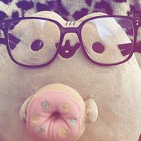 ler_chek153