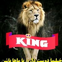 samir.afghan539