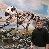 paleosalva