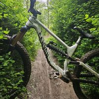henrik_freeride
