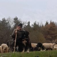 robertlorincz88