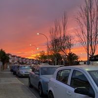 carlasantamaria_22