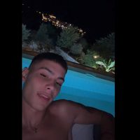 v8silhss_