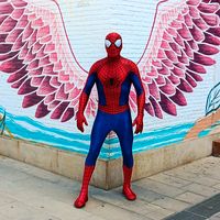spidercotidiano