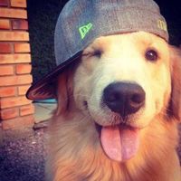 itszkrm