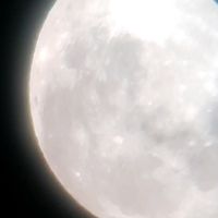 soniqp0