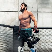 ufcviolence_