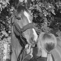 cait.equestrian07