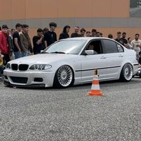 ninitza11