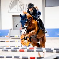zydekk_ponysport