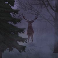 trees.have.roots
