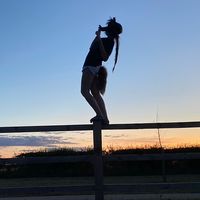 wild.trico