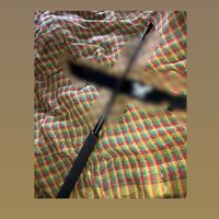 totakhel4