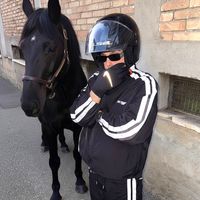 rapnapoli.enzodong