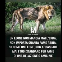 anonimusssssssss1s