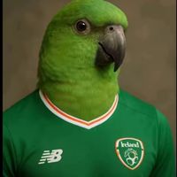 darraghmc718