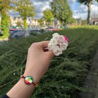 nisreen6693