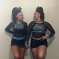dolphins.sisters