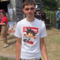 noah__lg_