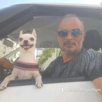 aniellofiengo28gm