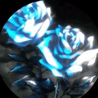 the_void505
