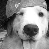 blondi0952