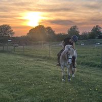 oliviaogcludythepony