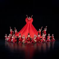 calypso_showtanz