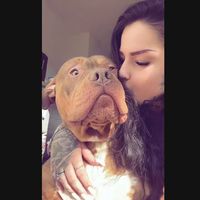 thebeautywiththebully