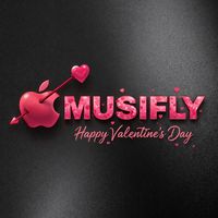 musifly