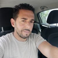 anto_cat46