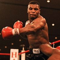 lateztboxing