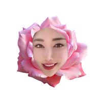 rosejiafei