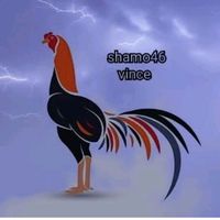 vince46130