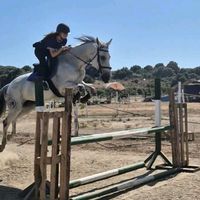 equestrian_indira